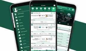Comprehensive BetWinner Review Features, Bonuses, and User Experience