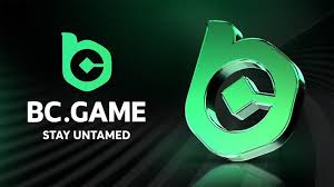Discover the Exciting Features of the BC.Game Mirror Mobile App