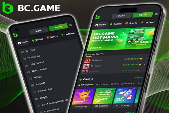 Exploring BC.Game The Premier Online Gaming Platform in Japan 964298505